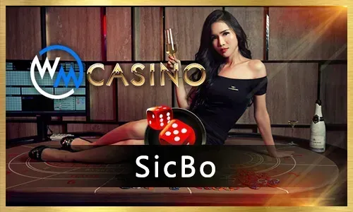 Exciting slot machine game at Roobet Crypto Casino